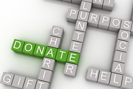 Fundraising Audits